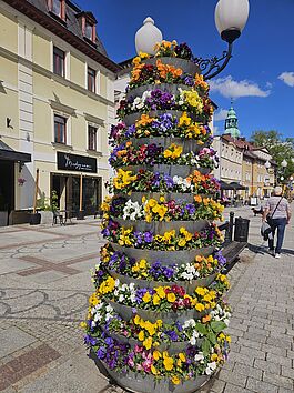 IMG-20260527-WA0014