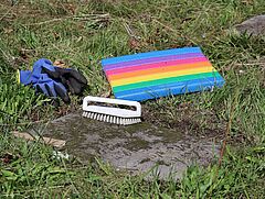 image-4596