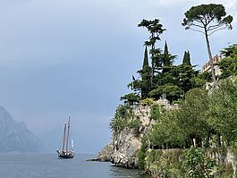 IMG_0231