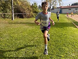 IMG-20261011-WA0008