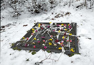 IMG_20260127_125704_arb