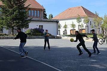 IMG_8786