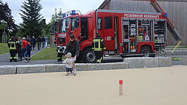 IMG_8589